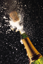 champaign
