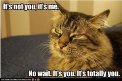 its_totally_you
